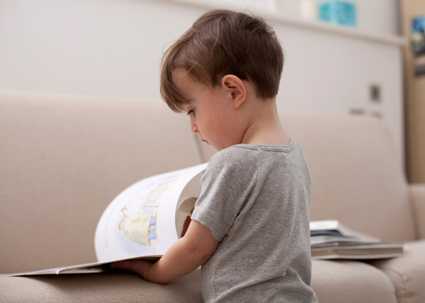 14 Must Have Books for 2 Year Olds Brightly