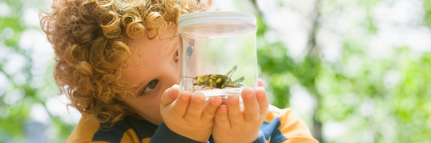 Perfectly Buggy Insect Books for the Classroom Thumbnail