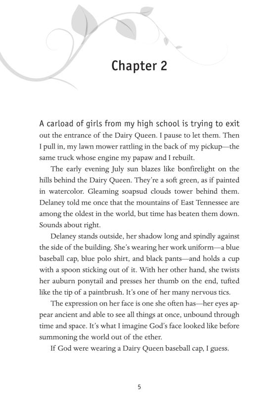 In the Wild Light by Jeff Zentner 9781524720247 Brightly Shop